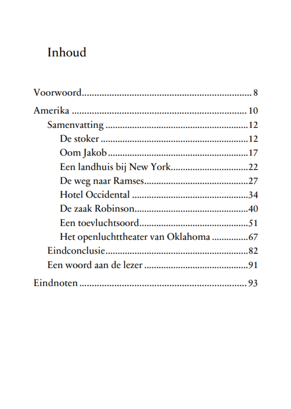 Robin Dijkstra - Amerika: Kafka's complexe debuut - Afbeelding 6