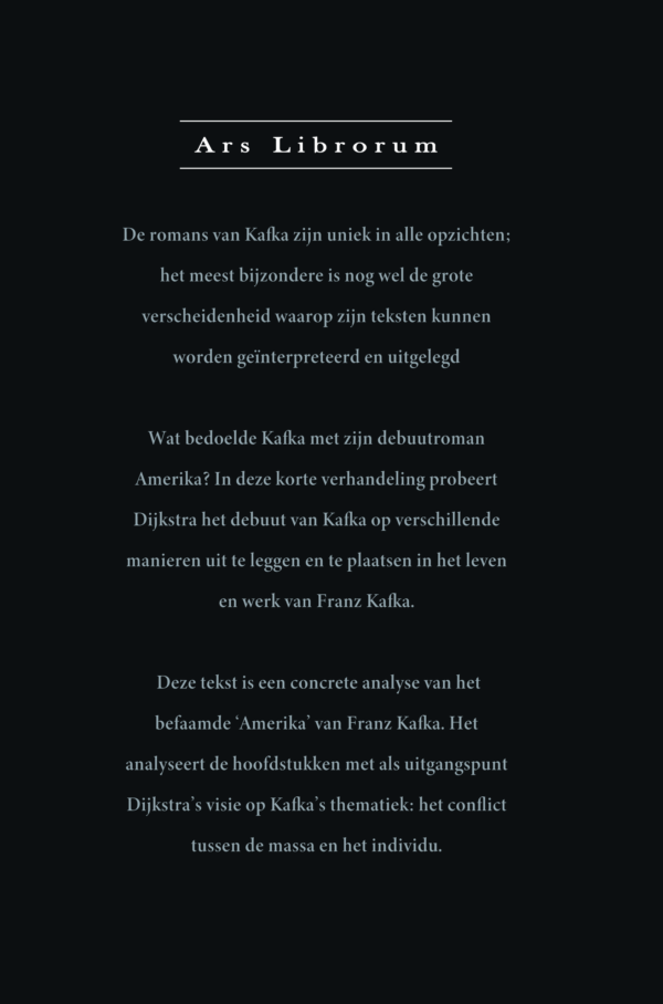 Robin Dijkstra - Amerika: Kafka's complexe debuut - Afbeelding 3