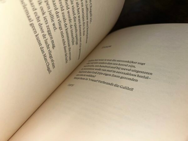 Gerard Reve - Het zingend hart - Afbeelding 5