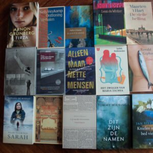 Nederlandse Literatuur - verzameling van 24 boeken