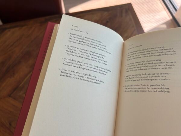 Charles Baudelaire - De bloemen van het kwaad - Afbeelding 6