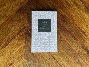 Fjodor Dostojevski - De dubbelganger