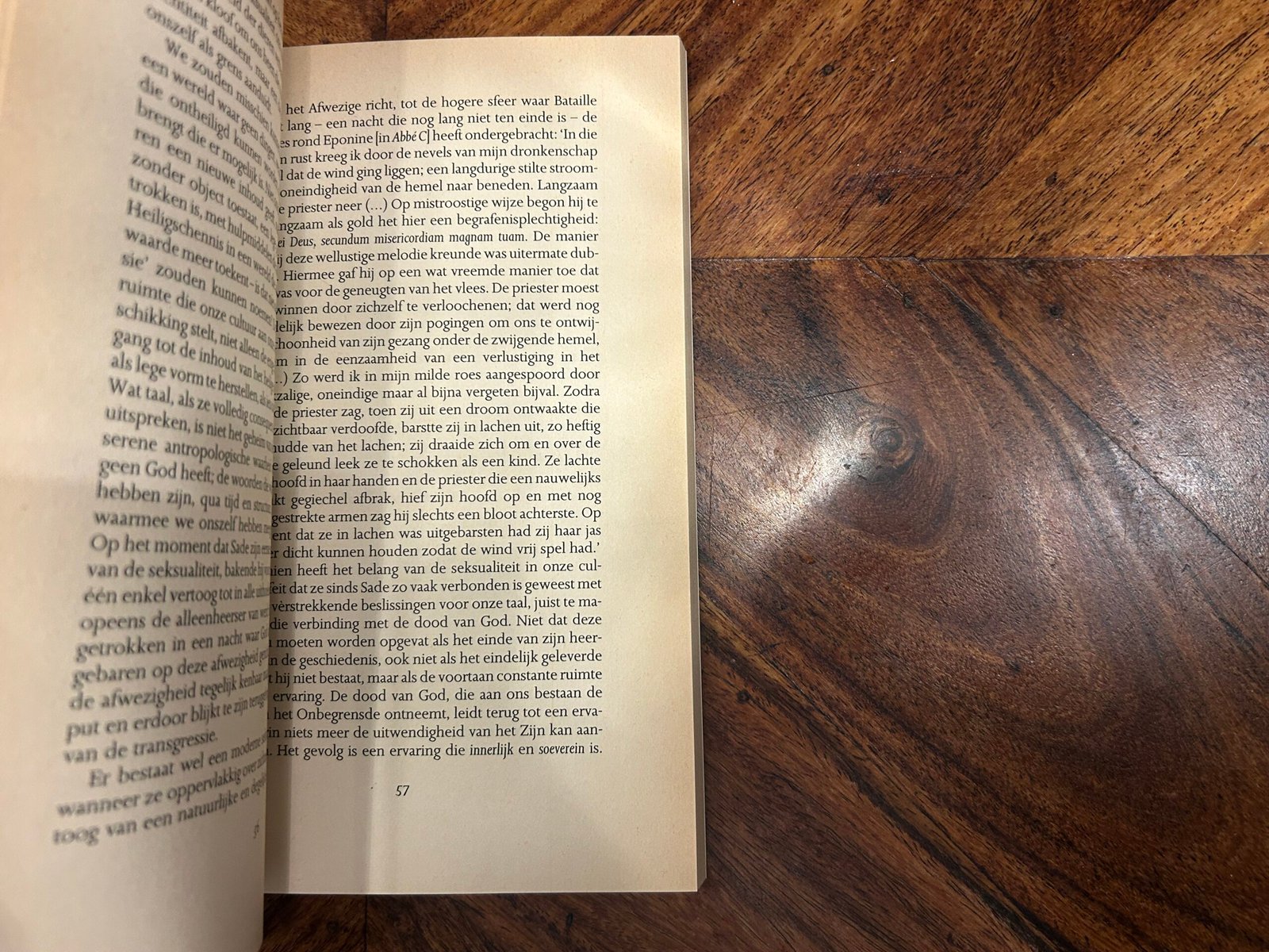 Michel Foucault - De verbeelding van de bibliotheek - Afbeelding 3