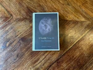 Simon Vestdijk - Terug tot Ina Damman