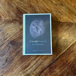 Simon Vestdijk - Terug tot Ina Damman