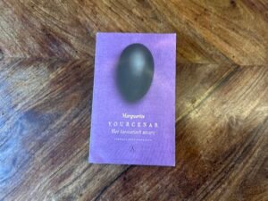 Marguerite Yourcenar - Het hermetisch zwart