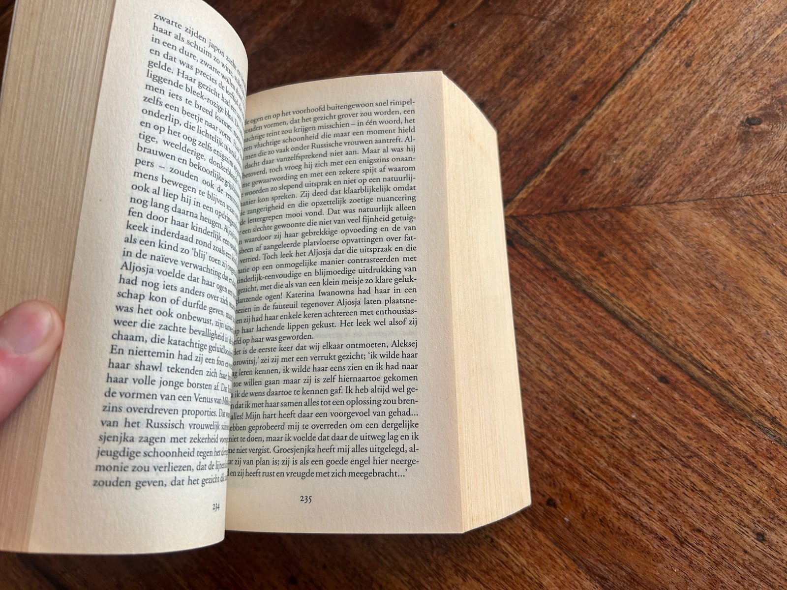 Fjodor Dostojevski - De gebroeders karamazov (pocket) - Afbeelding 2