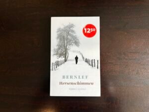 Bernlef - Hersenschimmen