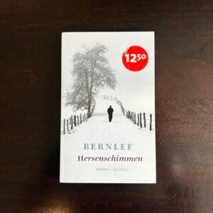 Bernlef - Hersenschimmen